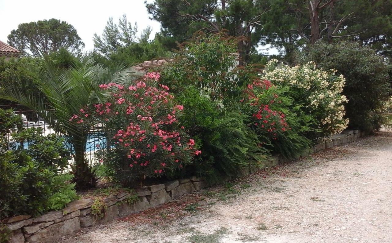 Les Buis Carpentras Exterior foto