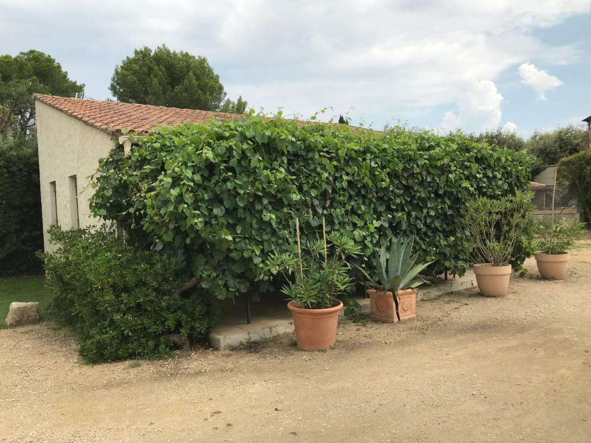 Les Buis Carpentras Exterior foto